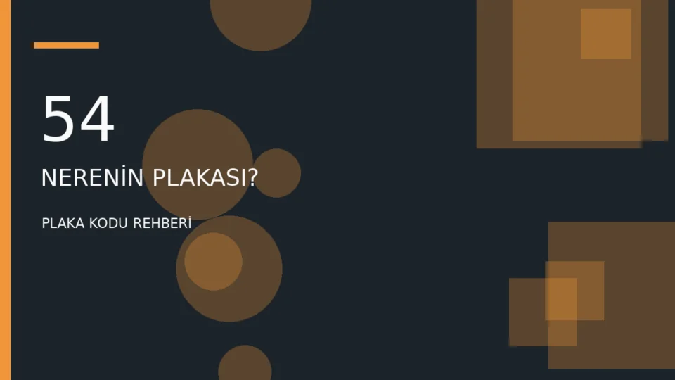 54 nerenin plakası? Sakarya plaka kodu